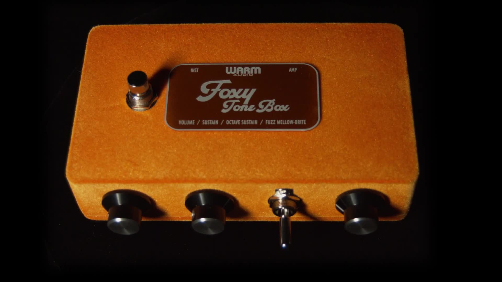 Introducing The Foxy Tone Box By Warm Audio
